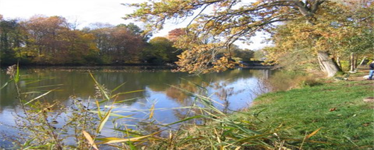 Le Loiret — image vuenaturelle