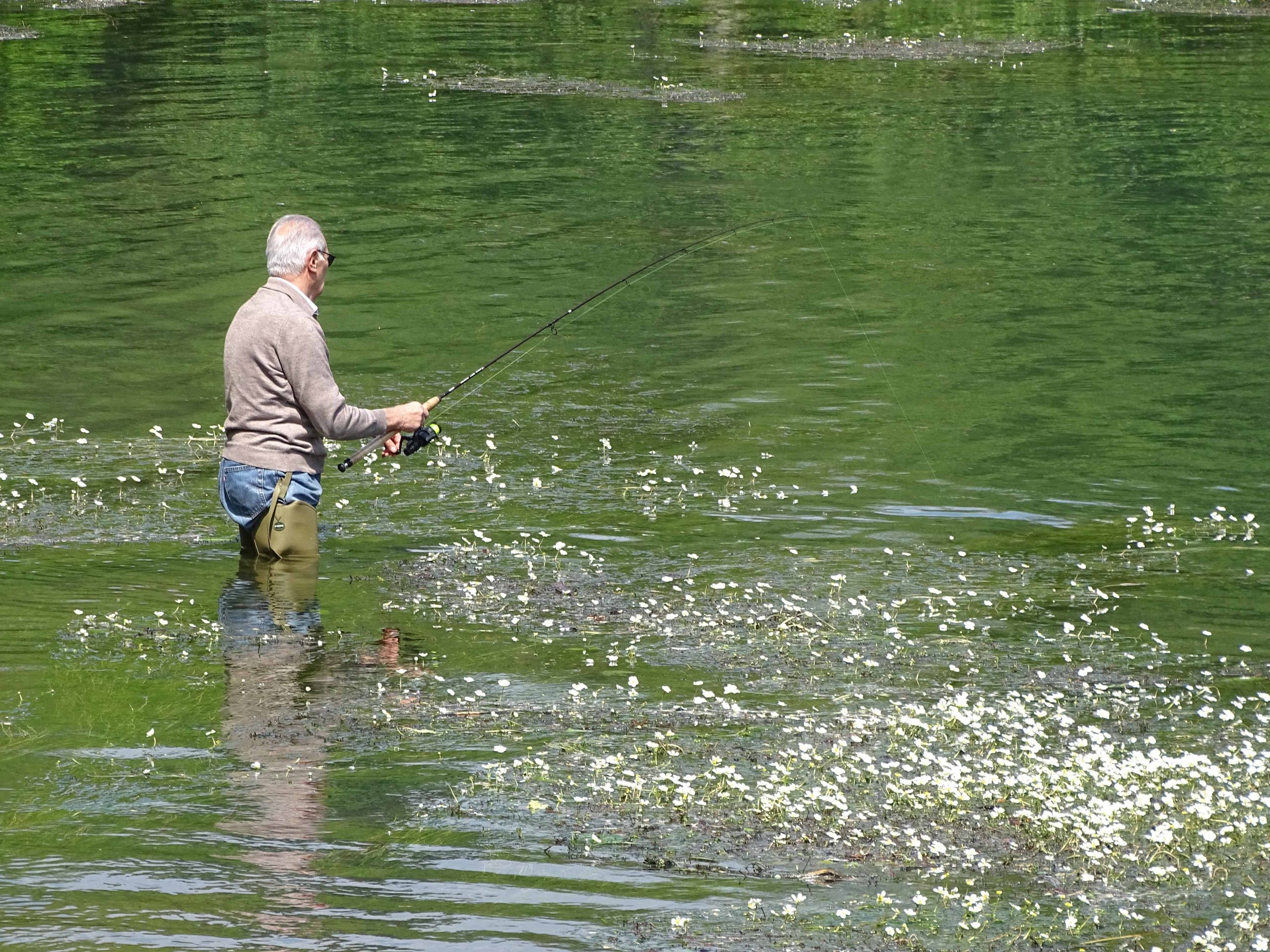 Suivre la vie de la rivière.
