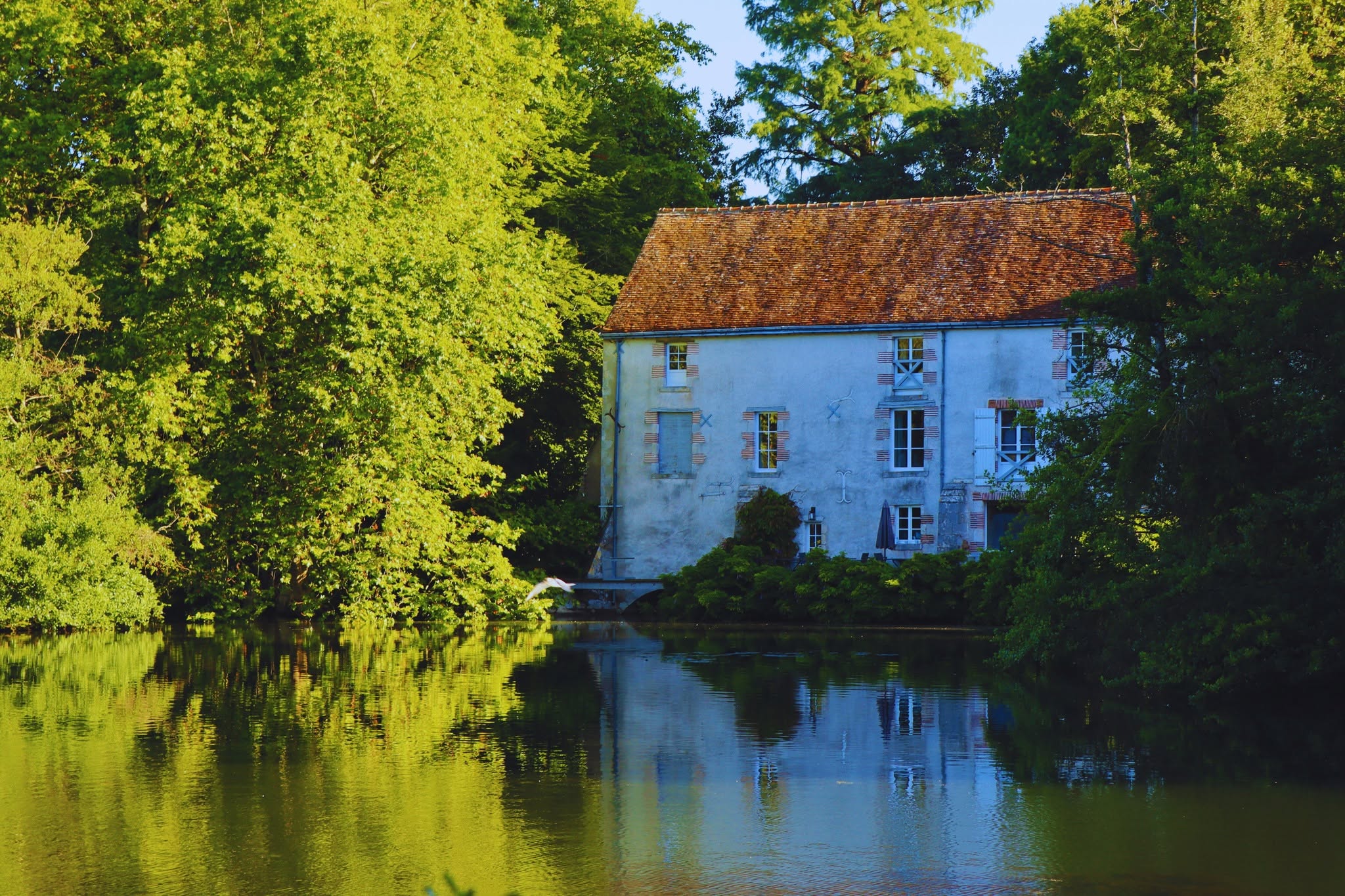 Niveaux, herbes, arbres : l’entretien de la rivière.